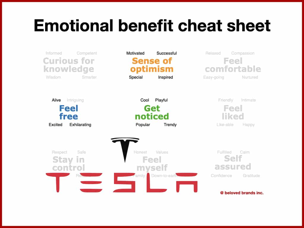 Tesla Brand Emotional Consumer Benefits explaining the tesla brand